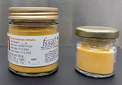 Premium Cordyceps Militaris Keeda Jadi Mushroom Powder Premium Cordyceps Militaris Keeda Jadi Mushroom Powder