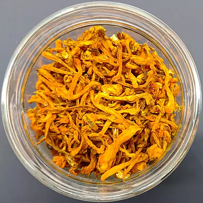 Premium Cordyceps Militaris Keeda Jadi Mushroom Premium Cordyceps Militaris Keeda Jadi Mushroom