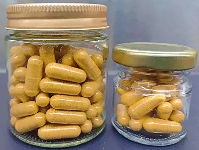Premium Cordyceps Capsule (500 mg) Premium Cordyceps Capsule (500 mg)