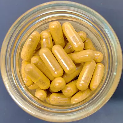 Premium Cordyceps Capsule (500 mg) Premium Cordyceps Capsule (500 mg)