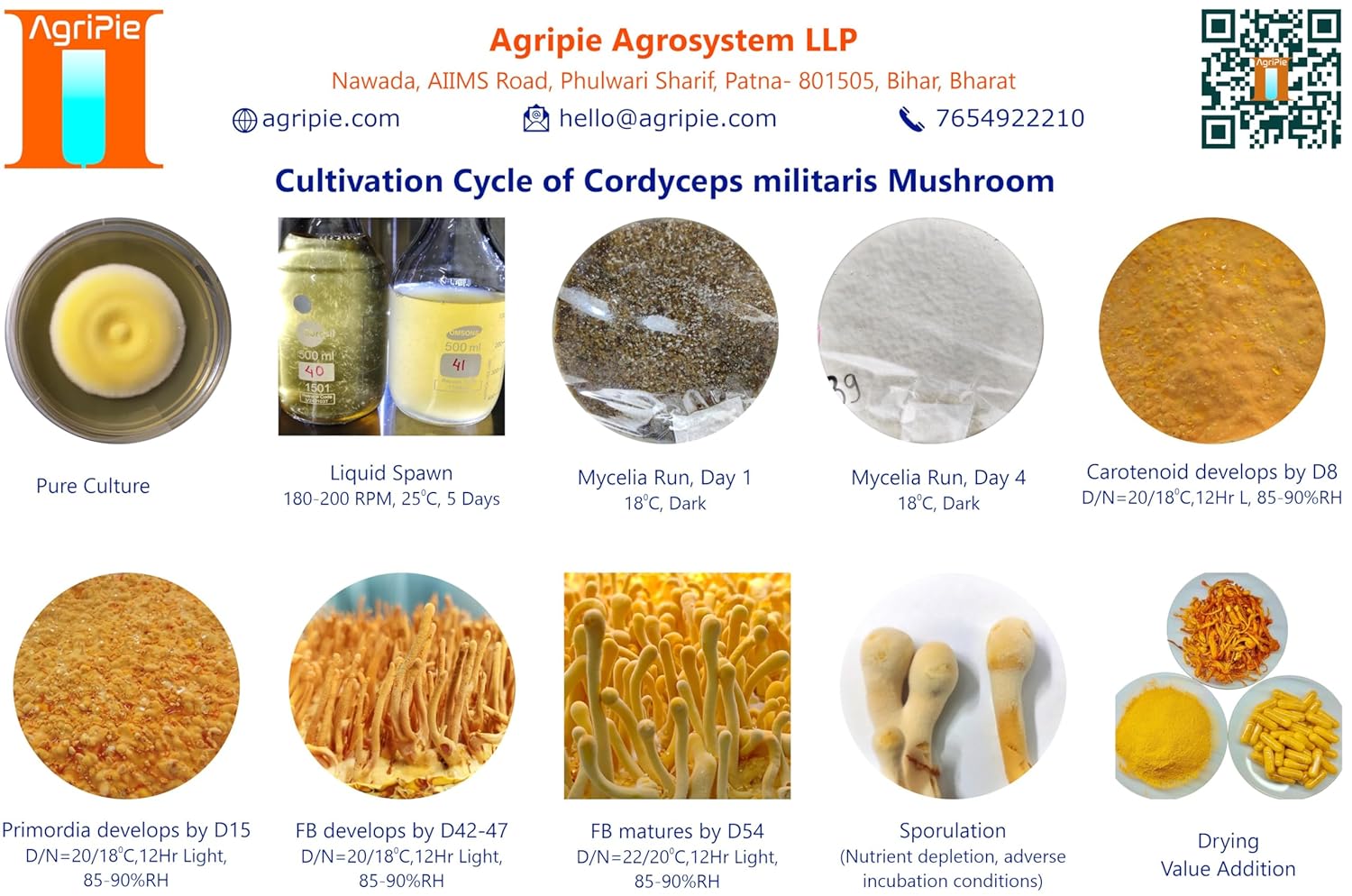 Hands-on Training on Cordyceps militaris Cultivation Technology Hands-on Training on Cordyceps militaris Cultivation Technology
